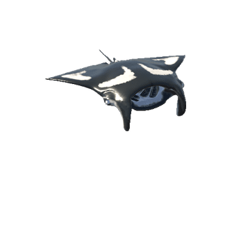 Manta_Stingray_Mesh Variant